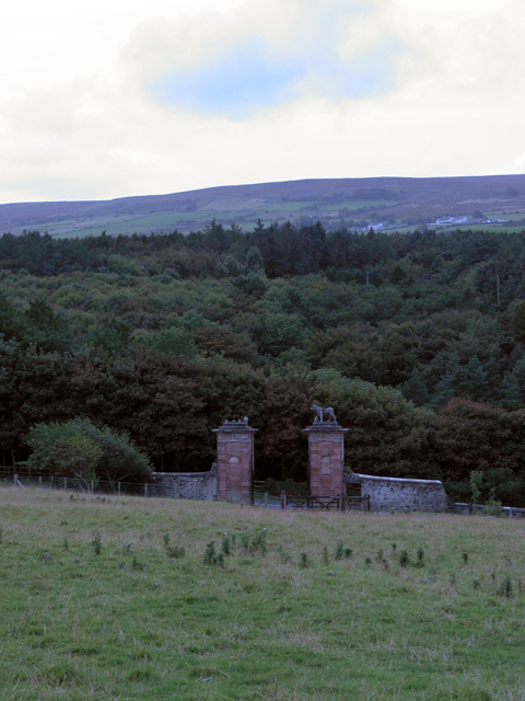 Downhill House 14