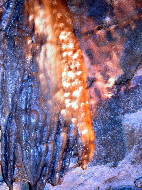 Marble Arch Caves 5