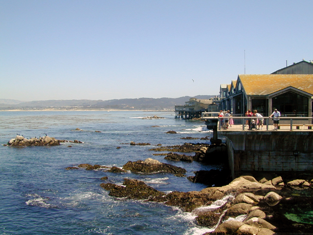 Monterey Bay Aquarium May 2001 5