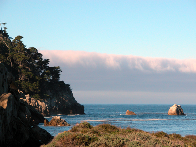 Point Lobos December 2004 2