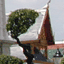 Wat Phra Kaeo 28